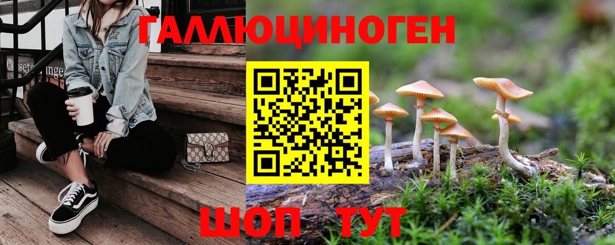 Псилоцибиновые грибы Cubensis Бор